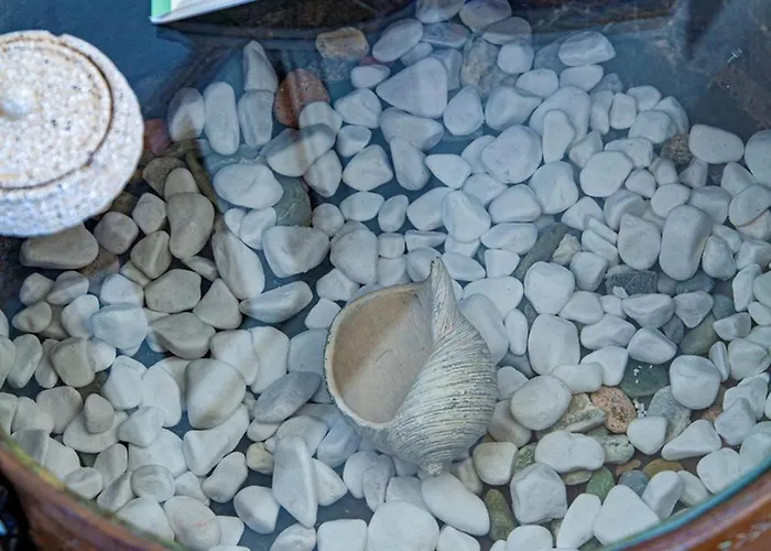 Διαμέρισμα Lalaros Γλώσσα